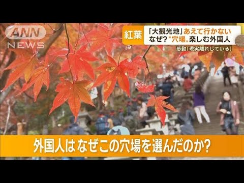 なぜ？“穴場の紅葉”楽しむ外国人　「大観光地」あえて行かない　「現実離れ」に感動【もっと知りたい！】(2022年11月21日)