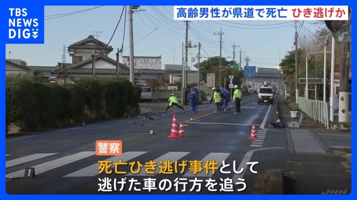 群馬・伊勢崎市で高齢男性が路上で死亡　ひき逃げか　｜TBS NEWS DIG