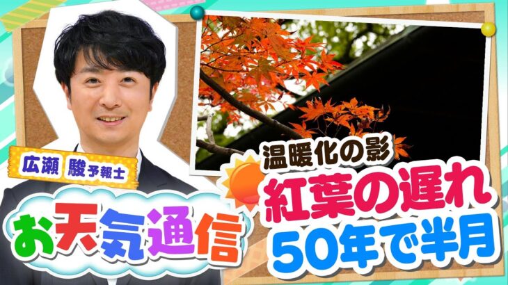 【お天気解説】地球温暖化は「紅葉」にも影響！？　さらに時期が遅くなる可能性も？気象予報士がテレビより少～し長く解説します！（2022年11月21日）#紅葉 #地球温暖化