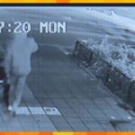 男２人にバッグを奪われた女性が、取り返そうと“つかみ合い”防犯カメラに一部始終　大阪・浪速区