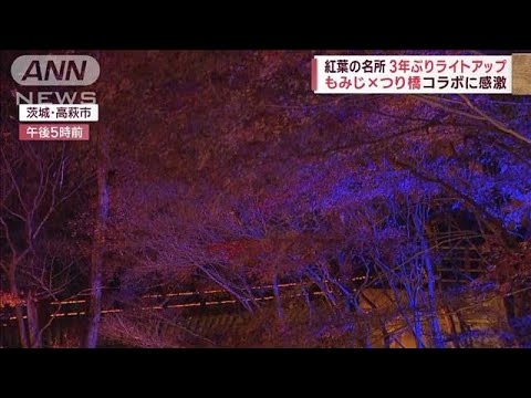 【絶景紅葉】京都嵐山　早起きで「ゆったり観光」、関東の名所が3年ぶりライトアップ(2022年11月22日)
