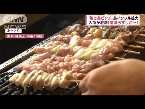 世界規模の鳥インフルまん延で鶏肉ピンチ！入荷に不安　焼き鳥店悲鳴(2022年11月22日)