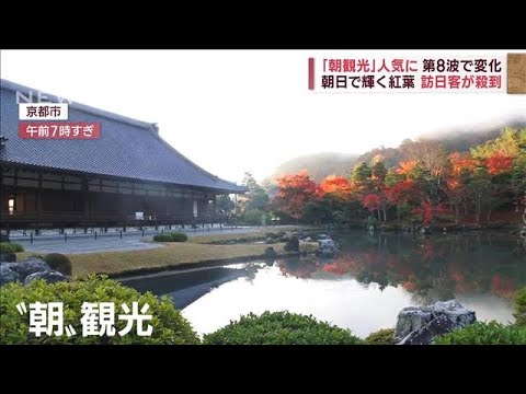 紅葉の古都　混雑避けて「朝観光」　訪日客も「ウツクシイ！」(2022年11月22日)