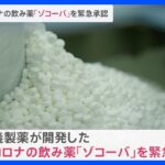 塩野義製薬のコロナ経口薬を緊急承認　厚労省　国内の製薬会社で初｜TBS NEWS DIG