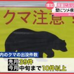 【冬眠前のクマに注意！】福井県では頻繁に目撃も
