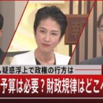 『新大臣にも疑惑浮上で政権の行方は／巨額の補正予算は必要？財政規律はどこへ』【11月22日（火）#報道1930】