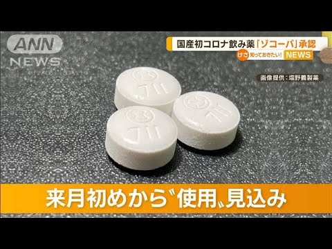 国産初コロナ飲み薬「ゾコーバ」承認　軽症者も対象(2022年11月23日)