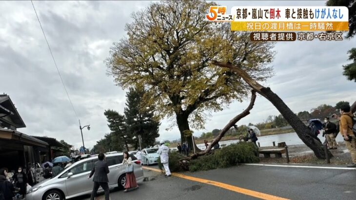 祝日で混雑の京都嵐山が騒然『街路樹が突然折れて倒れる』車に接触するもけが人はなし（2022年11月23日）