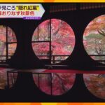 京都の賑わい再び　観光地・嵐山の“隠れ紅葉スポット”「嵐山祐斎亭」　幻想的な光景で昼夜も絶景！
