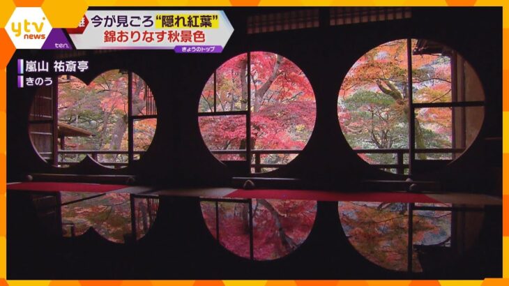 京都の賑わい再び　観光地・嵐山の“隠れ紅葉スポット”「嵐山祐斎亭」　幻想的な光景で昼夜も絶景！