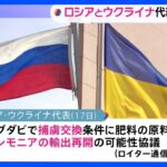 ロシアとウクライナの代表が会談　アンモニア輸出めぐり｜TBS NEWS DIG
