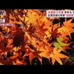 紅葉見頃の京都“密回避”へ　観光地の「混雑マップ」ライブカメラも(2022年11月25日)