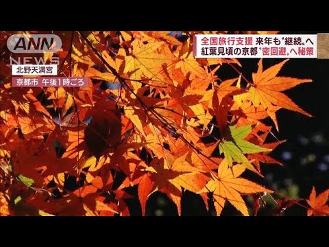 紅葉見頃の京都“密回避”へ　観光地の「混雑マップ」ライブカメラも(2022年11月25日)