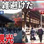 【京都で“朝観光”が人気】混雑避け…静寂の中で紅葉狩り堪能