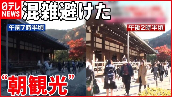 【京都で“朝観光”が人気】混雑避け…静寂の中で紅葉狩り堪能