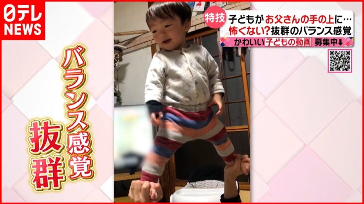 【投稿動画】お父さんの手の上に!? バランス感覚抜群の1歳の男の子『every.特集』