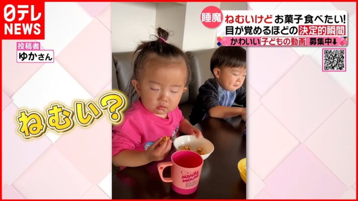 【投稿動画】眠い! けど食べたい… 目覚めた決定的瞬間 『every.特集』