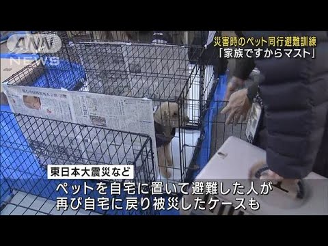 「家族ですから」ペット同行避難訓練　東京・中野区(2022年11月27日)