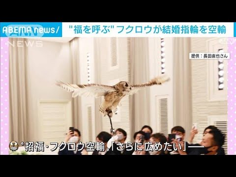 【フクロウ空輸】“福を呼ぶ”シンボル　結婚式で指輪届ける(2022年11月28日)