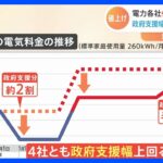 電力会社が相次ぐ値上げ申請　政府支援幅を上回り最大39%も｜TBS NEWS DIG