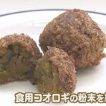 給食に『食用コオロギ』食物科の生徒たちが調理に挑戦…「海老みたいで美味しい」（2022年11月28日）