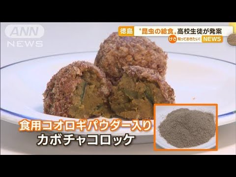 日本初“食用コオロギ給食”　徳島の高校生徒が発案(2022年11月29日)