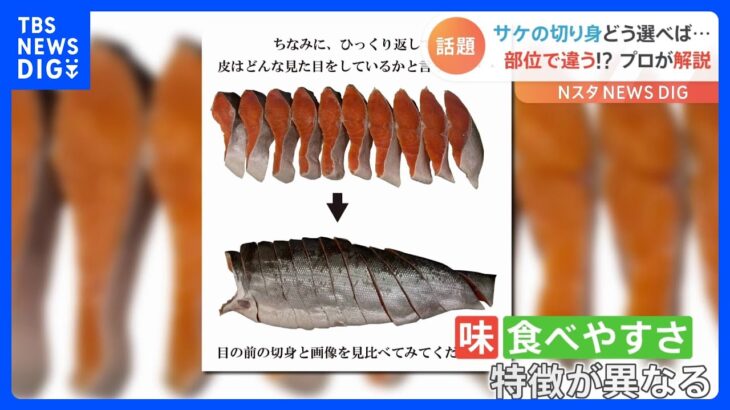 “鮭のプロ”が『鮭の切り身』を詳しく解説！ 形によって「味」「食べやすさ」が違う！？ おいしい形は…｜TBS NEWS DIG