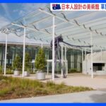 豪シドニーで日本人設計の新美術館が完成　草間彌生さんの作品も展示｜TBS NEWS DIG