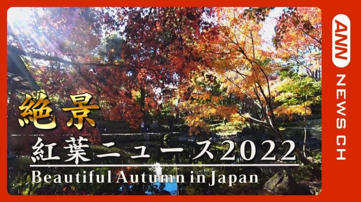 【紅葉ニュースまとめ】「虹のようだ」訪日観光客殺到の”絶景スポット” トロッコ電車に逆さモミジ、舞妓パパラッチも？　京都・嵐山、清水寺/山中湖/黒部峡谷など　ANN/テレ朝