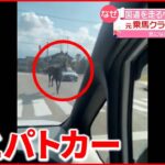 【目撃】国道を駆け抜ける“馬とパトカー” 富山県