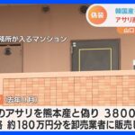 【産地偽装？】韓国産アサリを熊本産と偽り3800キロを卸売業者に販売か　会社社長逮捕｜TBS NEWS DIG