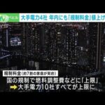 大手電力4社「規制料金」値上げ申請へ　燃料費高騰で(2022年11月23日)