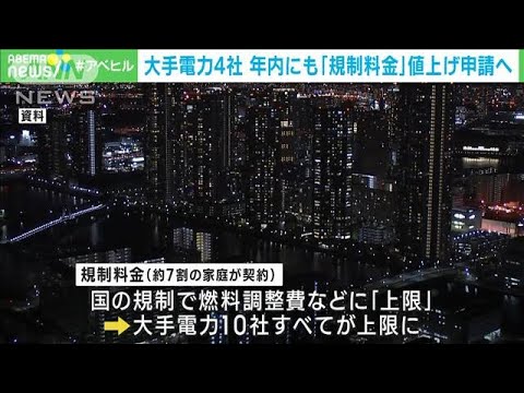 大手電力4社「規制料金」値上げ申請へ　燃料費高騰で(2022年11月23日)