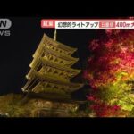 紅葉終盤も大混雑　“幻想的ライトアップ”400m大行列…“神秘的名瀑”ボートから絶景(2022年11月29日)