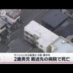 4階から転落か　2歳男児が搬送先の病院で死亡　大阪(2022年11月5日)