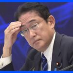 対面では4年ぶり　APEC首脳会議始まる　首脳宣言をとりまとめることができるかが焦点｜TBS NEWS DIG