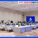 対面では4年ぶり　APEC首脳会議始まる　首脳宣言をとりまとめることができるかが焦点｜TBS NEWS DIG