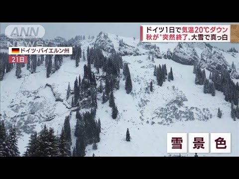 【危機】草凍り…アルパカ500頭超が死ぬ　放牧できず「他に収入ない…」(2022年11月24日)