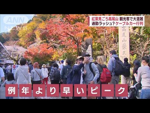 【紅葉絶景】通勤ラッシュ？観光客で大混雑…第8波じわり(2022年11月12日)