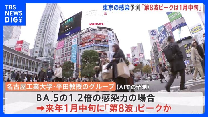 「第8波のピークは来年1月中旬」 東京都の新型コロナ感染状況 名古屋工業大学の研究グループが予測｜TBS NEWS DIG