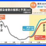 新型コロナ　東京都 第8波は1月中旬がピークか 感染者数は第7波を超える見通しも｜TBS NEWS DIG