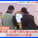 スカイマーク　システムトラブルで8便欠航・43便が遅延　計6000人に影響｜TBS NEWS DIG