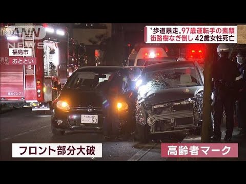 【歩道暴走】97歳運転手の素顔　街路樹なぎ倒し42歳女性死亡　車庫入れに不安も(2022年11月21日)