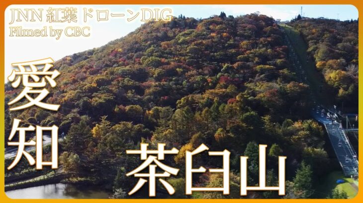 「愛知県の最高峰・茶臼山にも紅葉」【JNN 紅葉ドローンDIG】