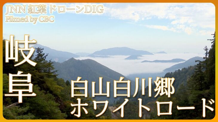 紅葉と雲海・奇跡の競演【JNN 紅葉ドローンDIG】