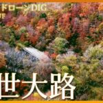 廃道の紅葉【JNN 紅葉ドローンDIG】｜TBS NEWS DIG