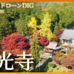 丹波篠山の古刹と紅葉 【JNN 紅葉ドローンDIG】｜TBS NEWS DIG