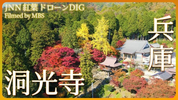 丹波篠山の古刹と紅葉 【JNN 紅葉ドローンDIG】｜TBS NEWS DIG