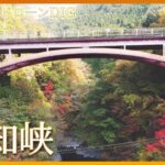 清流の谷に映える秋・付知峡【JNN紅葉ドローンDIG】｜TBS NEWS DIG
