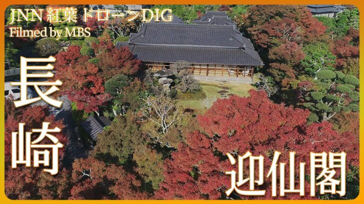 紅葉の回遊庭園　長崎　迎仙閣【JNN紅葉ドローンDIG】｜TBS NEWS DIG